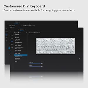 Womier 75% Custom Keyboard Kit- Gasket Mount Mechanical Gaming Keyboard, S-K75 82 Keys Wired Custom Keyboard RGB Clear Keyboard Kit, Hot Swappable Keyboard, Pre-lubed Switch for Mac/Win, Transparent