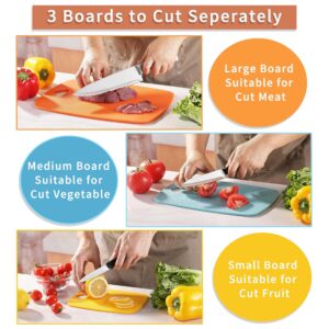 Cutting Boards for Kitchen, Kaloo Plastic Cutting Boards Set of 3, Large Medium Small Cutting Boards for Kitchen, Easy Grip Handle, BPA Free, Dishwasher Safe (3 Size, Multi Colors)