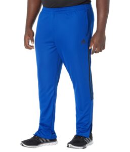 adidas men's tiro 21 track pants, team royal blue/black, large