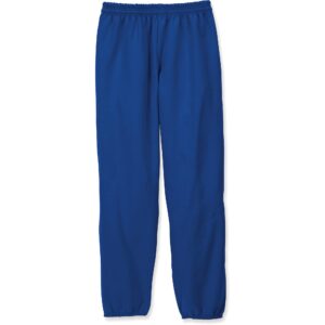 Hanes Men's EcoSmart Non-Pocket Sweatpant, Deep Royal, Medium