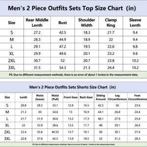 BIRW L Red Mens Short Sets 2 Piece Outfits Fashion Summer Tracksuits Casual Set Polo Shirt Short Sleeve and Shorts Set