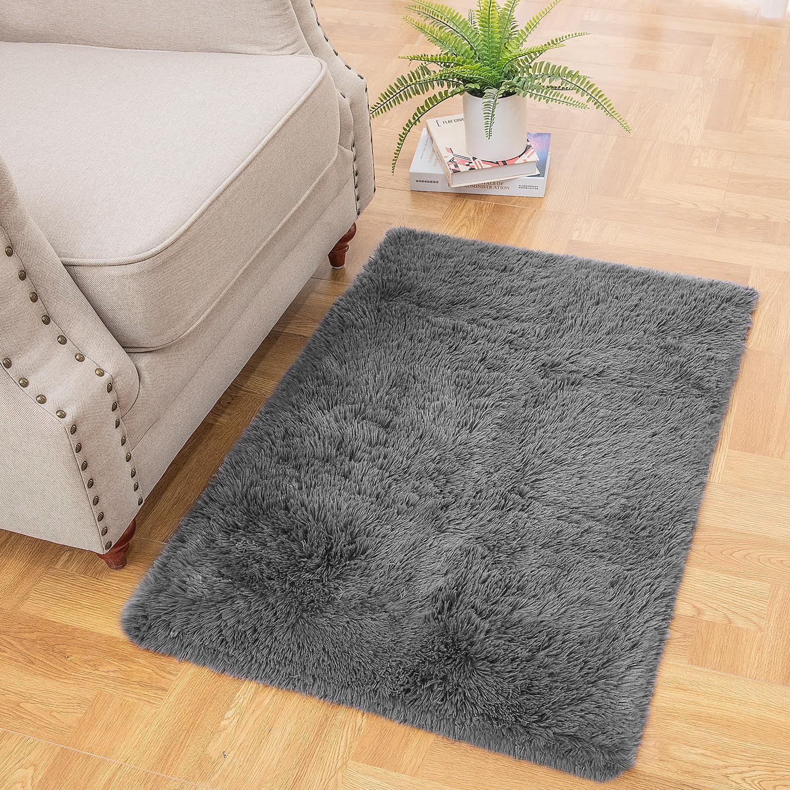 Ophanie Small Throw Rugs for Bedroom, 2x3 Non Slip Mini Area Rug, Affordable Fluffy Grey Carpet, Door Entryway Indoor Inside Front Entrance Dog Mat, Home Decor Aesthetic, Nursery