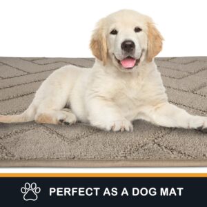 PURRUGS 20"x31.5" Non-Slip Washable Door Mat, Super Absorbent Entry Rug for Muddy Shoes & Wet Paws