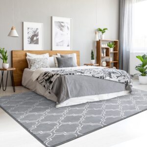 Chicrug Shag Geometric Modern Area Rug for Bedroom, 4x6 Feet Memory Foam Indoor Carpet, Fluffy Rug for Living Room Bedside Room Decor for Family Girls Kids Nursery Play Mat, Grey/White