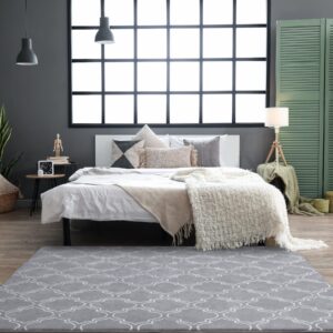 Chicrug Shag Geometric Modern Area Rug for Bedroom, 4x6 Feet Memory Foam Indoor Carpet, Fluffy Rug for Living Room Bedside Room Decor for Family Girls Kids Nursery Play Mat, Grey/White