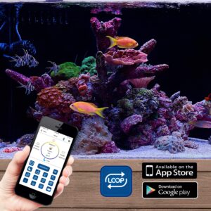 CURRENT USA PRO Dual 36-48" Inch Orbit Marine IC Loop LED Saltwater Reef Marine Aquarium Light with Bluetooth App Control | Wireless Lighting & eFlux Wave Pump Control for Fish Tank (4336)