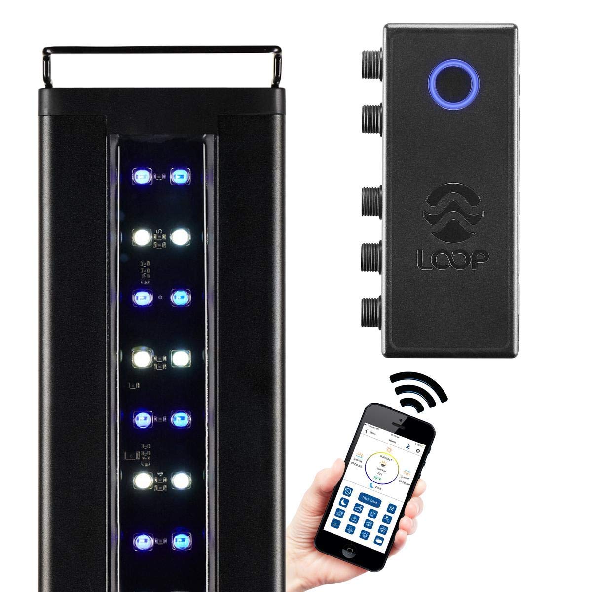 CURRENT USA 24-36" Inch Orbit Marine IC Loop LED Saltwater Reef Marine Aquarium Light with Bluetooth App Control | Wireless Lighting & eFlux Wave Pump Control for Fish Tank (4205)