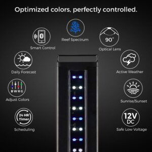 CURRENT USA 24-36" Inch Orbit Marine IC Loop LED Saltwater Reef Marine Aquarium Light with Bluetooth App Control | Wireless Lighting & eFlux Wave Pump Control for Fish Tank (4205)