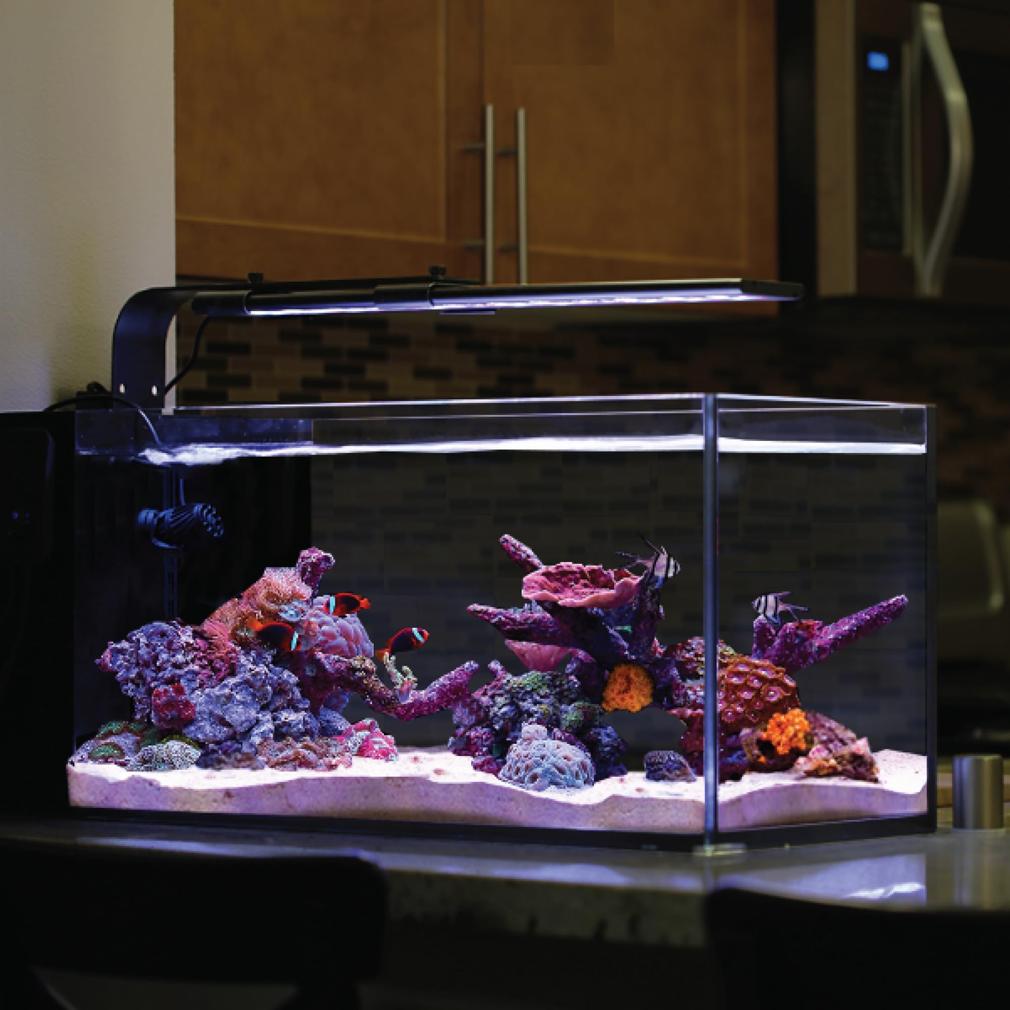 Current USA 24"-36" Inch Orbit Marine LED Saltwater Reef Marine Aquarium Light with Bluetooth App Control | Wireless Lighting & eFlux Wave Pump Control for Fish Tank (4201)