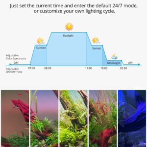 NICREW RGB+W 24/7 LED Aquarium Light with Controller, Full Spectrum Fish Tank Light for Planted Freshwater Tanks, Planted Aquarium Light with Extendable Brackets to 12-18 Inches, 12 Watts