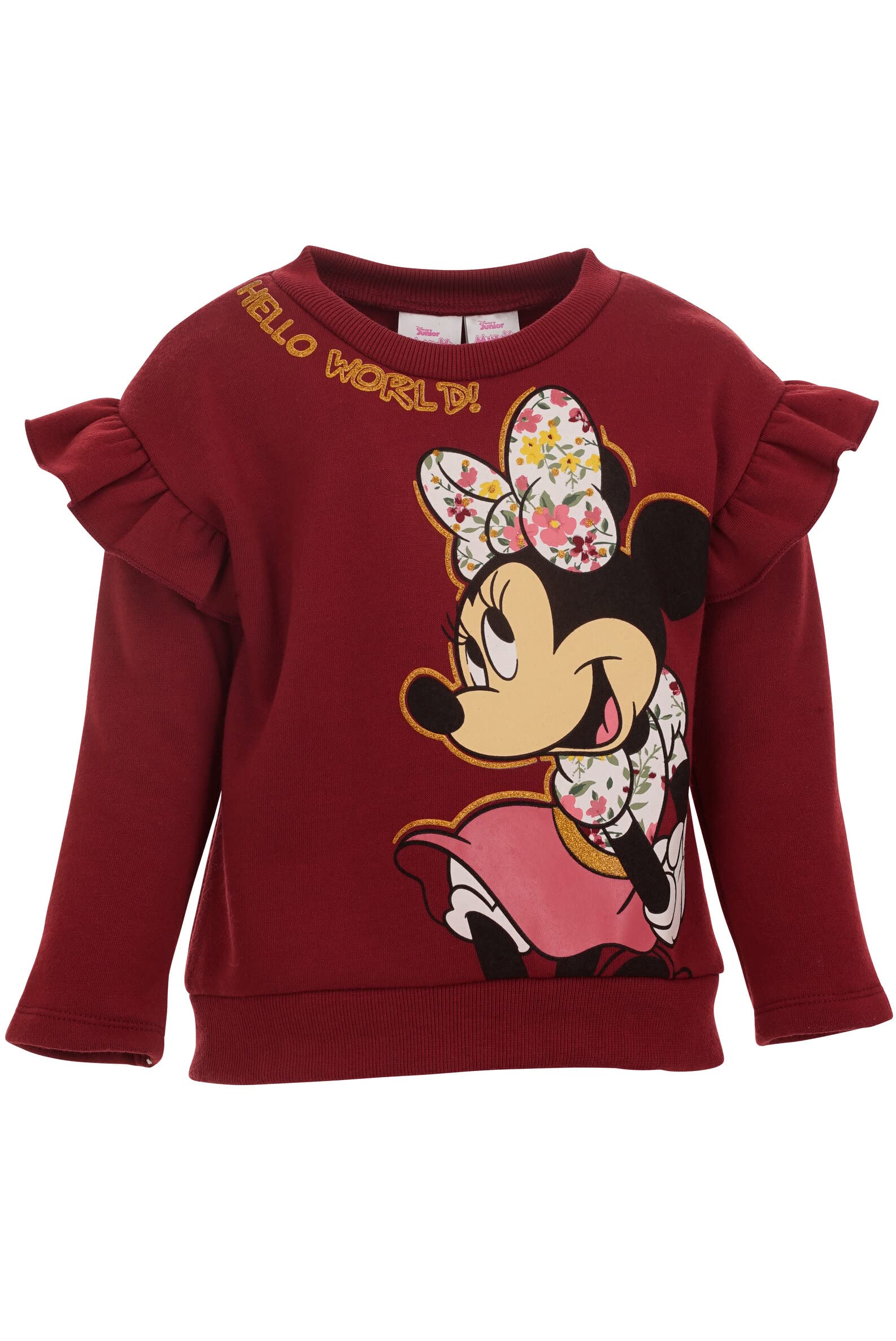 Disney Minnie Mouse Little Girls Pullover Fleece Sweatshirt and Leggings Outfit Set Multicolor 6-6X