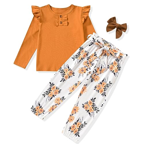 Aalizzwell Toddler Girls Clothes 3T, Little Fall Winter Long Sleeve Shirt Floral Pants Outfit Brown Clothing 3-4T