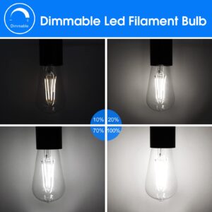 ENERGETIC Dimmable LED Filament Light Bulbs, High Brightness, 8W, 60 Watt Equivalent,ST58 ST18, Daylight 5000K, Classic Clear Glass, 4 Pack