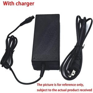 TGHY 36V E-Bike Lithium-Ion Battery 6000mAh Lithium Battery Pack 36V 6Ah Li-ion Scooter Battery Pack for Electric Bike Bicycle Scooter 250W 300W 350W Motor with Charger,6000mah