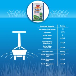 BioAdvanced All-in-One Weed and Feed, Granules, 12 lb