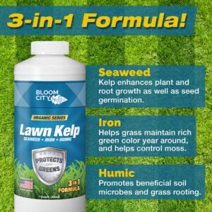 Lawn Kelp Fertilizer - Seaweed Fertilizer for Protecting & Greening Lawns (3 in 1 Formula) - Liquid Seaweed Fertilizer for Plants - Liquid Kelp Fertilizer - Organic Plant Fertilizer - Seaweed Extract