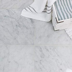 Bianco Carrara (White Carrera) Polished Marble 12 x 12 Floor and Wall Tile