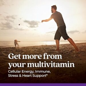 New Chapter Men's Multivitamin for Immune, Stress, Heart + Energy Support with Fermented Nutrients - Every Man's One Daily, Made with Organic Vegetables & Herbs, Non-GMO, Gluten Free - 72 ct