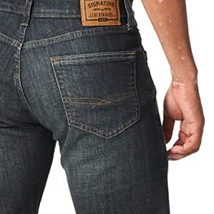 Signature by Levi Strauss & Co. Gold Men's Regular Fit Flex Jeans, Westwood #1, 38W x 30L