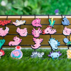 Cute Kawaii Shoe Charms 30~100 PCS Teens Girls Boys Kids Decoration Party Gifts Accessories Charms (21PCS Axolotl)