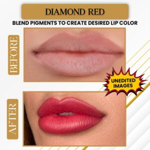 Nadja Aoki Lip Blushing Pigments Ink - Microblading Lip Pigments for Permanent Lip Color – Professional Lip Tattoo Pigments - Nude C3-12mL | 0.43 FL Oz