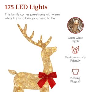 Best Choice Products 4ft 3-Piece 2D Lighted Christmas Deer Family Set, Large Outdoor Yard Reindeer Holiday Decoration with 175 LED Lights, Stakes, Zip Ties - Gold