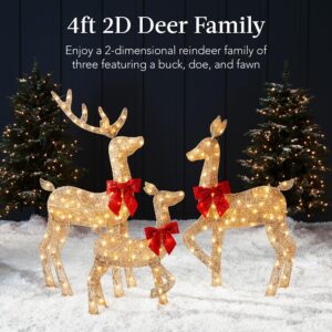 Best Choice Products 4ft 3-Piece 2D Lighted Christmas Deer Family Set, Large Outdoor Yard Reindeer Holiday Decoration with 175 LED Lights, Stakes, Zip Ties - Gold