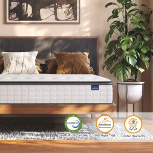 Vesgantti 12 Inch Hybrid Queen Mattress, Gel Memory Foam & Pocket Coils, Medium Firm, Plush Feel