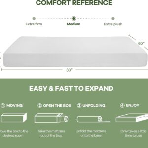 Nchanmar 6 Inch Queen Mattress, Gel Memory Foam Queen Size Mattress, Pressure Relieving, Cooling Gel Foam, Queen Mattress in a Box, Certipur-Us Certified, Bed-in-a-Box, Queen, 80"L x 60"W x 6"Th,White