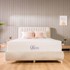 NapQueen Queen Mattress, 6 Inch Elizabeth Cooling Gel Memory Foam Mattress, Queen Bed Mattress in a Box, CertiPUR-US Certified, Medium Firm, Breathable Soft Fabric Cover