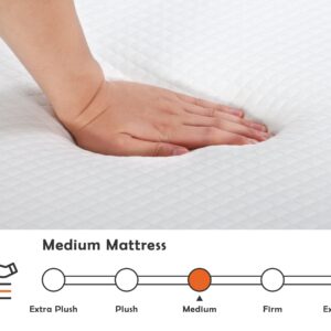 Green Tea Queen Mattress, 5 Inch Gel Memory Foam Queen Mattresses Cooling Mattress Pad, CertiPUR-US Certified Queen Size Mattresses for Kids/Adults, Bed-in-a-Box/Pressure Relieving, Queen