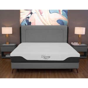 DynastyMattress 10-inch CoolBreeze Gel Memory Foam Mattress-Queen Size