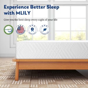 EGO Memory Foam Mattress, 10 inch Medium Firm Mattress Bed in a Box Green Tea and Cooling Gel Infused CertiPUR-US Certified, Made in USA (Queen)