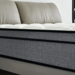 Container Furniture Direct Hybrid 12 Inch Queen Mattress in a Box, Pillow Top Bed Cushion with Gel Infused Memory Foam, Breathable and Hypoallergenic, Medium Firm for Lumbar Support