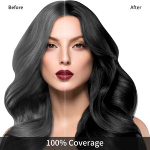 KINGMING Black Hair Dye Shampoo 3 in 1 for Gray Hair, Hair Color Shampoo for Women Men Grey Hair Coverage, Herbal Ingredients Champu Con Tinte Para Canas 500ml (Black)