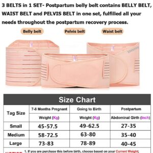 ZHENJIER 3 in 1 Postpartum Support - Recovery Belly/Waist/Pelvis Belt Shapewear (Fits Waistline 34"-41") Beige