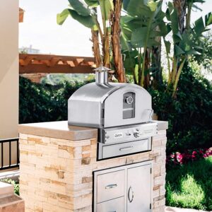 AMS Fireplace Summerset Pizza Oven - Large Capacity Natural Gas Outdoor Oven with Pizza Stone and Smoker Box, 304 Stainless Steel Construction for Built-in or Countertop Use. FREE Tabletop Fire Pit