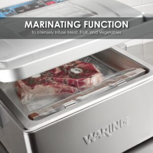 Waring Commercial WCV300 Vacuum Sealer, Silver 2 Gallon Bag Capacity