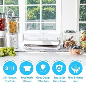 Lofaho 3-in-1 Magic Vacuum Sealer Machine for Food Storage Air-Top & Hose Handheld Vacuum Sealer Include 5 Sealing Bags, 10 Containers (55mm and 75mm Sizes x 5ea/each), Top Film (1ea), EPL Film (1ea)