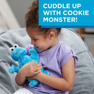 Sesame Street Playskool Let's Cuddle Cookie Monster Plush (Amazon Exclusive)