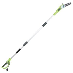 Greenworks 20192 8.5-Inch 6.5 Amp Electric Corded pole saw, Green