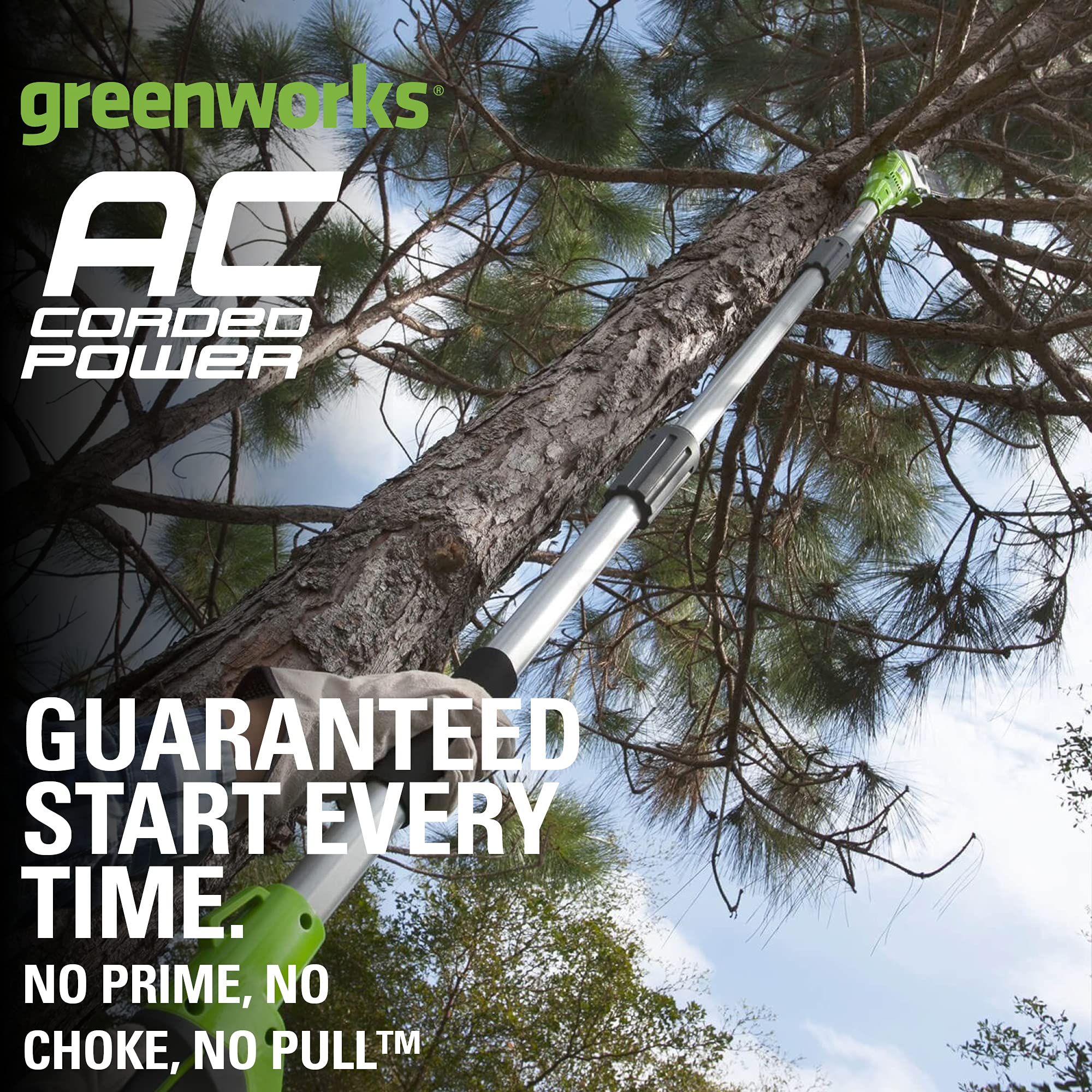 Greenworks 20192 8.5-Inch 6.5 Amp Electric Corded pole saw, Green