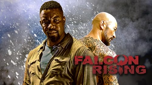 Falcon Rising