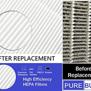 PUREBURG Replacement True HEPA Filters Compatible with Aiper KJ200 and FAMREE FA500 Air Purifiers, H13 3-Stage Filtration Activated Carbon 2-in-1,2-Pack