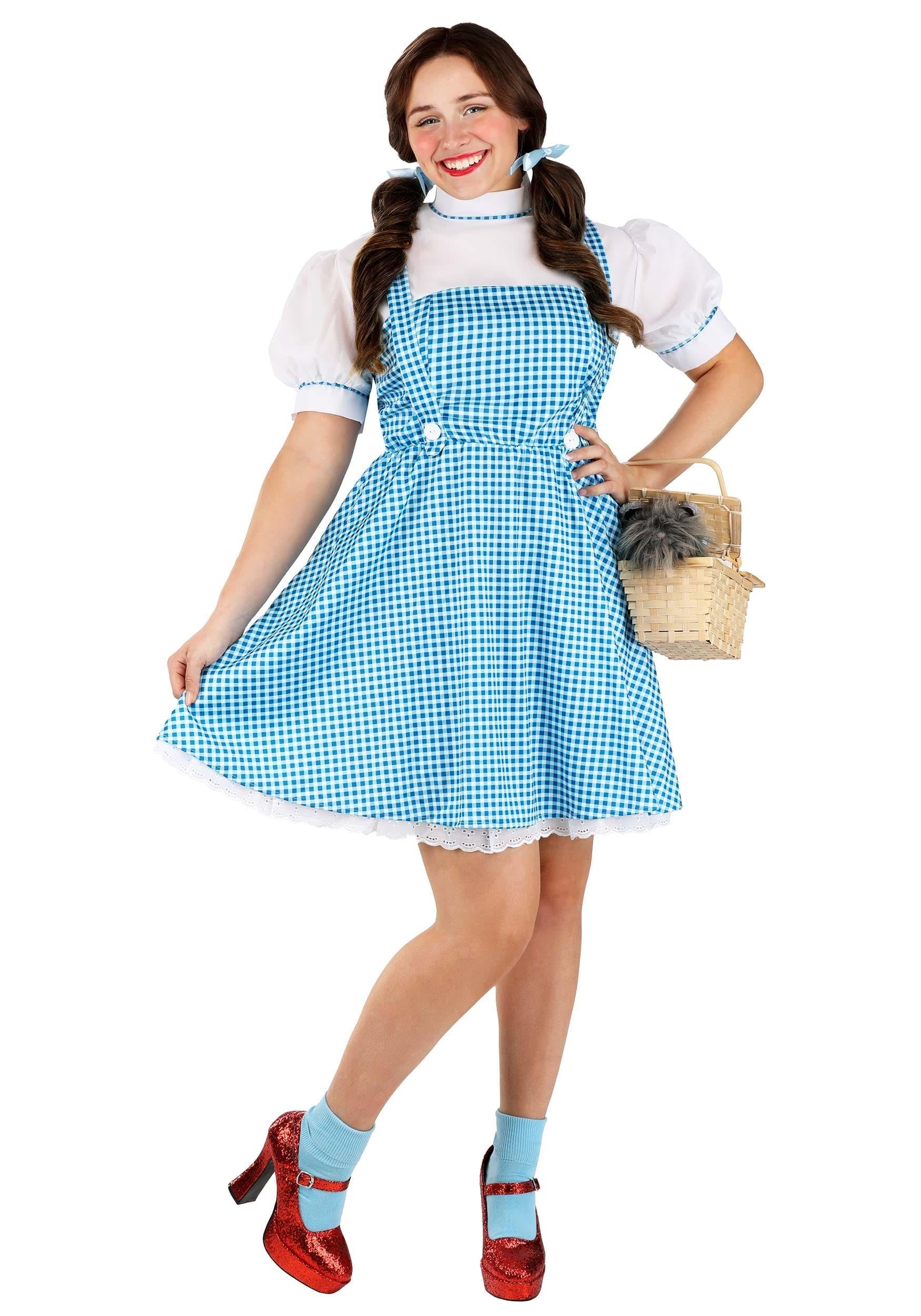 Rubie's womens Wizard of Oz Adult Dorothy Dress and Hair Bows Costume, Blue/White, Teen US