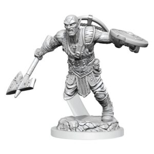 wizkids d&d nolzur's marvelous miniatures: earth genasi fighter