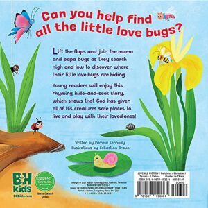 Where's My Little Love Bug?: A Mirror Book