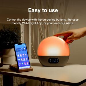 WiiM Wake-up Light, Alexa Built-in, Unlimited Sound Choices, All-in-One Sunrise Alarm Clock, Sound Machine, Sleep Routines and More - Polished Silver