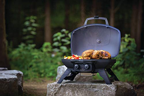 Napoleon TravelQ 285 Portable Gas BBQ Grill, Propane, Blue Lid - TQ285-BL-1 – Two Burners, Cast Iron Cooking Grids, Ideal for Camping & Tailgating