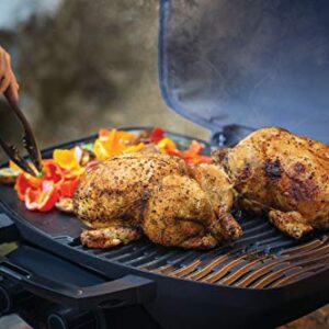 Napoleon TravelQ 285 Portable Gas BBQ Grill, Propane, Blue Lid - TQ285-BL-1 – Two Burners, Cast Iron Cooking Grids, Ideal for Camping & Tailgating